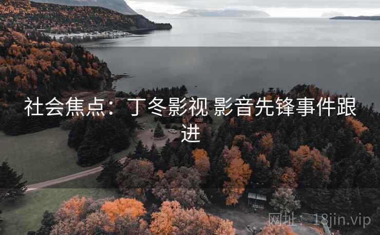 社会焦点：丁冬影视 影音先锋事件跟进