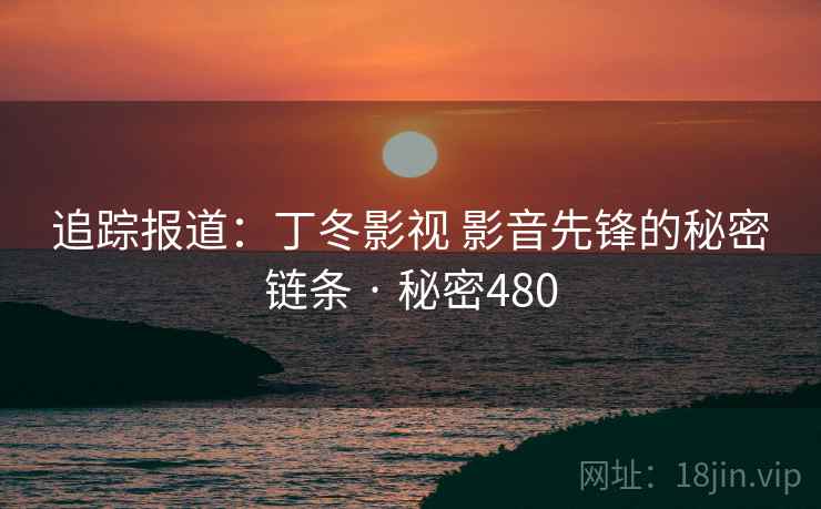 追踪报道:丁冬影视 影音先锋的秘密链条 · 秘密480